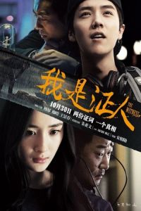 The Witness (Wo shi zheng ren) (2015)
