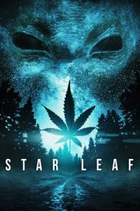 Star Leaf (2015)