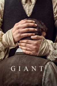 The Giant (Handia) (2017)