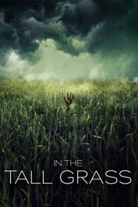 In the Tall Grass (2019)
