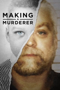 Making a Murderer (2015)